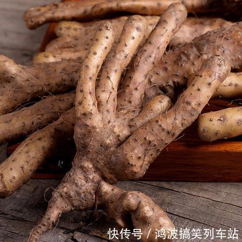 免疫力|补气是“提高免疫力”最快方法,一味中药补肺气、补脾气、补肾气