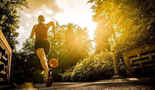 饮食|吃素能降血脂吗？医生：掌握三个饮食原则，血脂或会好转