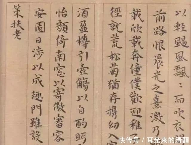 书法&农村姑娘蜕变成书法家用了10年,一手漂亮小楷,让多少书法家汗颜