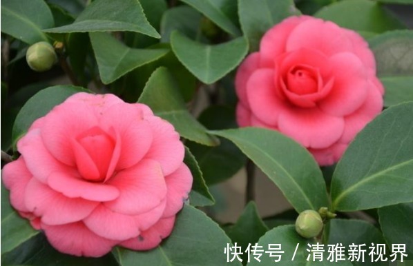 致命错误!真正“有本事”的人,都有4个本领,难怪天天赚大钱!