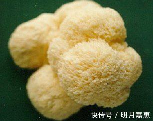 睡眠质量|胃不好都是“自找”的，胃炎的“良药”，帮你养胃护胃，摆脱胃炎