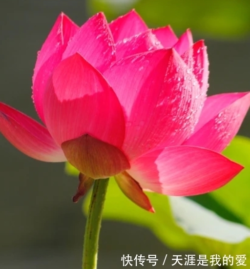 财源广聚|十一月开始 幸运星高照财源广聚生活欣欣向荣的三大生肖