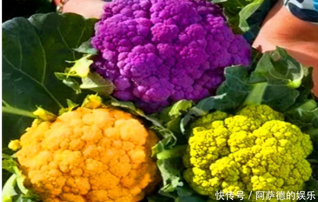 人到中年想长寿,推荐3种食物,毒素没了,皮肤越来也好