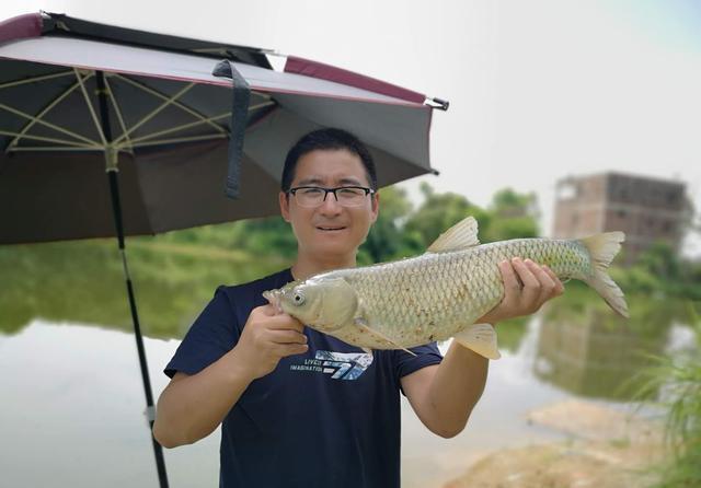 钓位|夏天野钓草鱼全攻略,钓位最重要,饵料岸边就有
