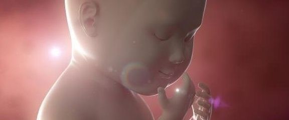 营养物质|孕期重要的“3个阶段”,孕妇把握好,可能会迎来“高智商宝宝”