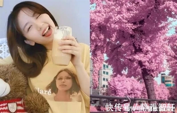 日子|看一眼就让人心动的壁纸,网友:今天是我们约定好换壁纸的日子哦!