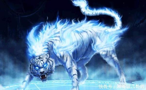 左青龙 右白虎 前朱雀 后玄武 那中间是什么 十人九不知 旅行游记