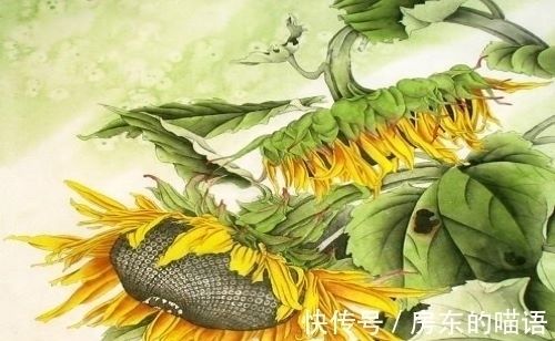 古诗@欣赏十首古人的葵花诗,不看不知道,这都是写的向日葵吗