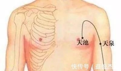 中渎穴|调理手颤、手麻、脚麻、面部神经麻痹,它们是立竿见影的必调穴