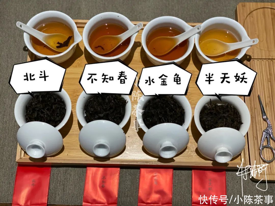 石乳|石乳、雀舌、黄观音，2021武夷岩茶十二金钗海选，几家欢喜几家愁