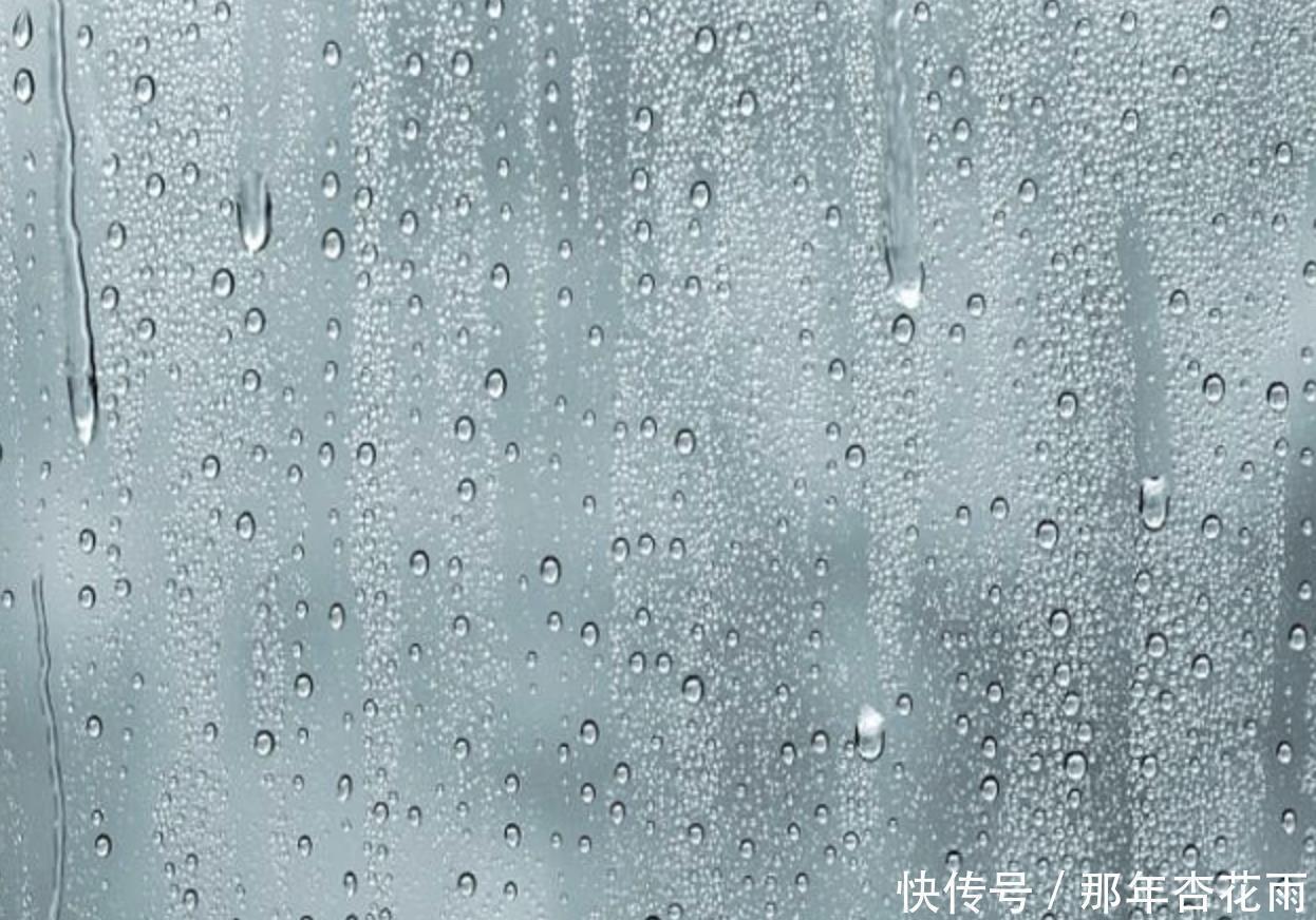 湿气|老是放屁估计是脾虚了,1个小方子,健脾养胃,湿气不来扰