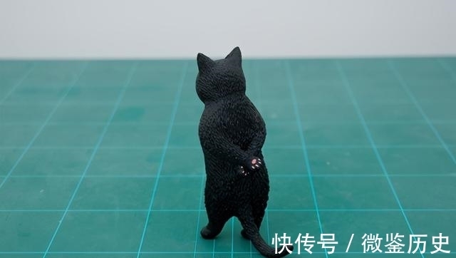 还原|全球的猫都想屏蔽这个日本人,他到底做了多少沙雕手办?