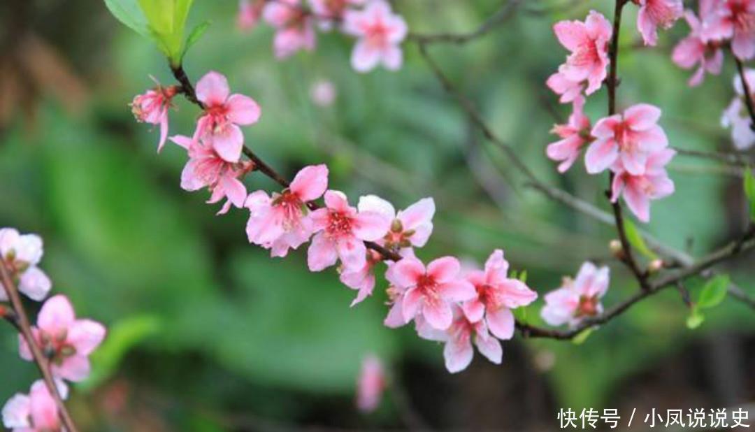 韩愈和白居易写诗互怼!韩愈:你放我鸽子!白居易:我就是不想去