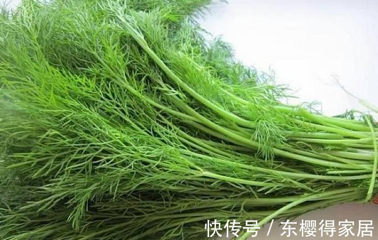 瓜果|湿气“最怕”这道菜，隔三差五吃一次，解馋又开胃，好吃不腻！