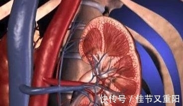 视网膜|有高血压却不管不顾,5大并发症悄然腐蚀你的身体!有症状就迟了