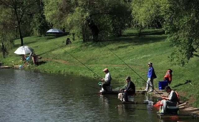 一到十月份,大鱼都藏到了这4个地方