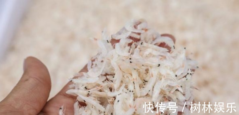 虾皮|买虾皮,白色好还是黄色好?和老渔民学4招,虾皮质量好,耐保存