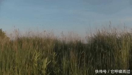 浪漫|拒绝撞香!这些小众香水让你高级又浪漫