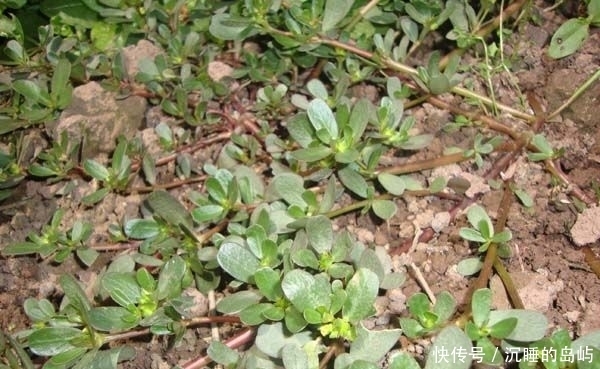 体内湿气较重，一般表现在6个方面，有的快祛湿