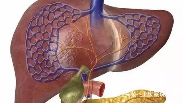 王大哥|查出脂肪肝,“1个”习惯,请坚持改掉,别给肝硬化、肝癌留后路