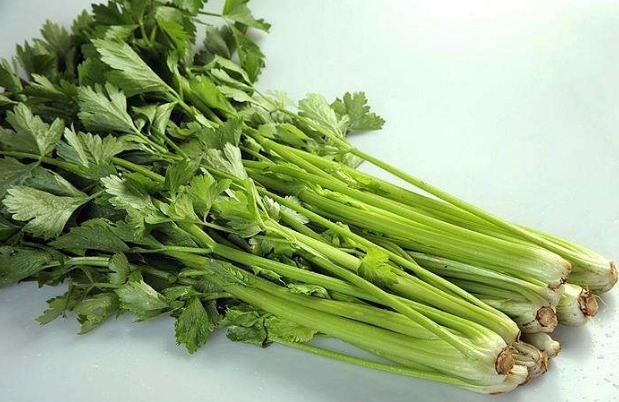 營養價值|吃芹菜為什么不吃葉真相大家不清楚，為了健康不妨了解下