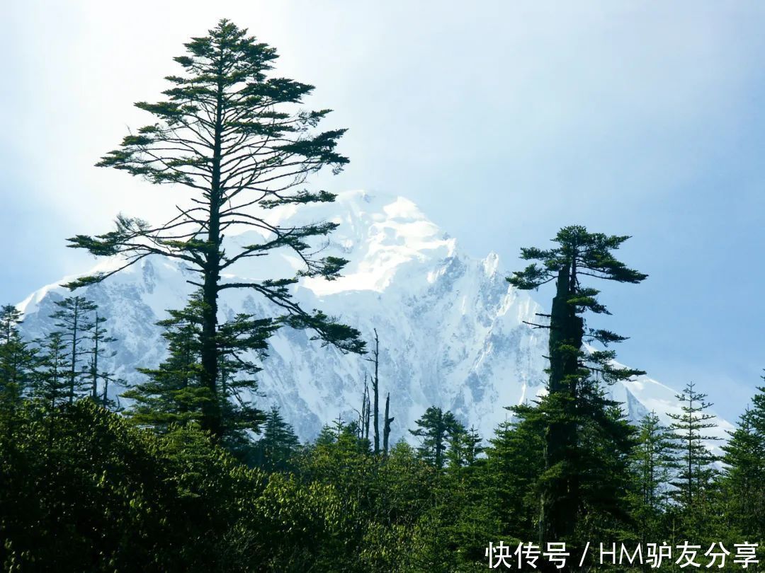 中国最美的冰川在哪里？