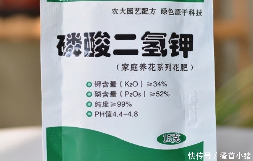 花期|磷酸二氢钾“浇花”,使用方法不当,越浇越不开花