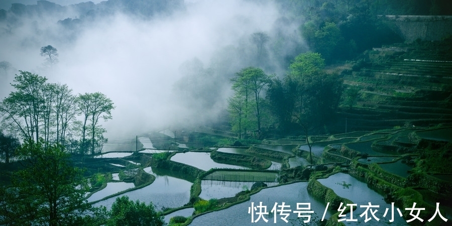 飞廉|进入8月，桃花一箩筐，财运一路旺，摇身变富人的属相