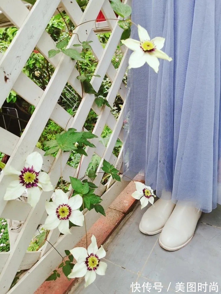 薇月|四年前,接手了朋友带120㎡院子的房子,打造成花园后朋友羡慕了