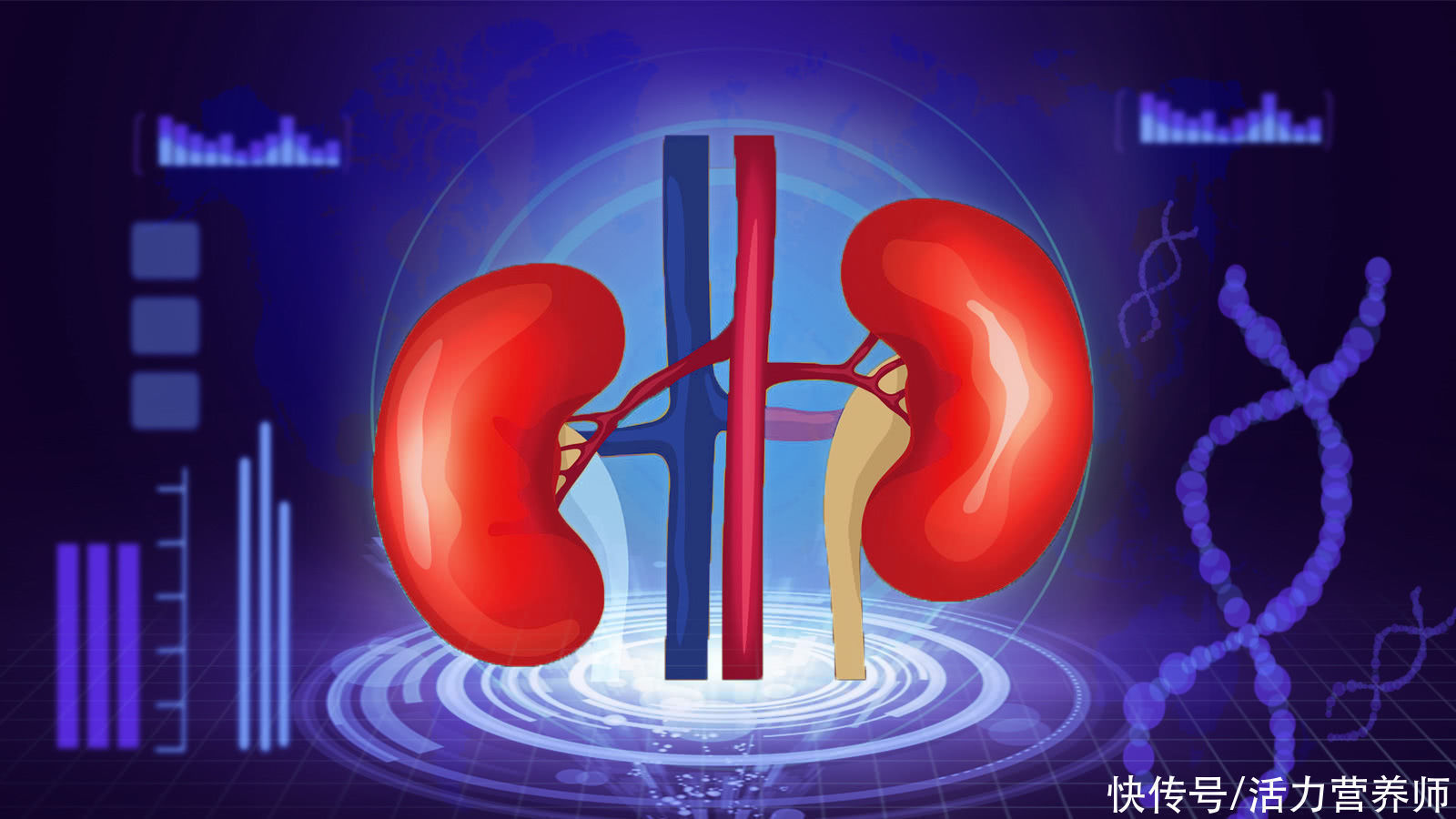 糖尿病肾病|糖尿病人如果不想得肾病,那么这3类食物,最好一口都不要再吃