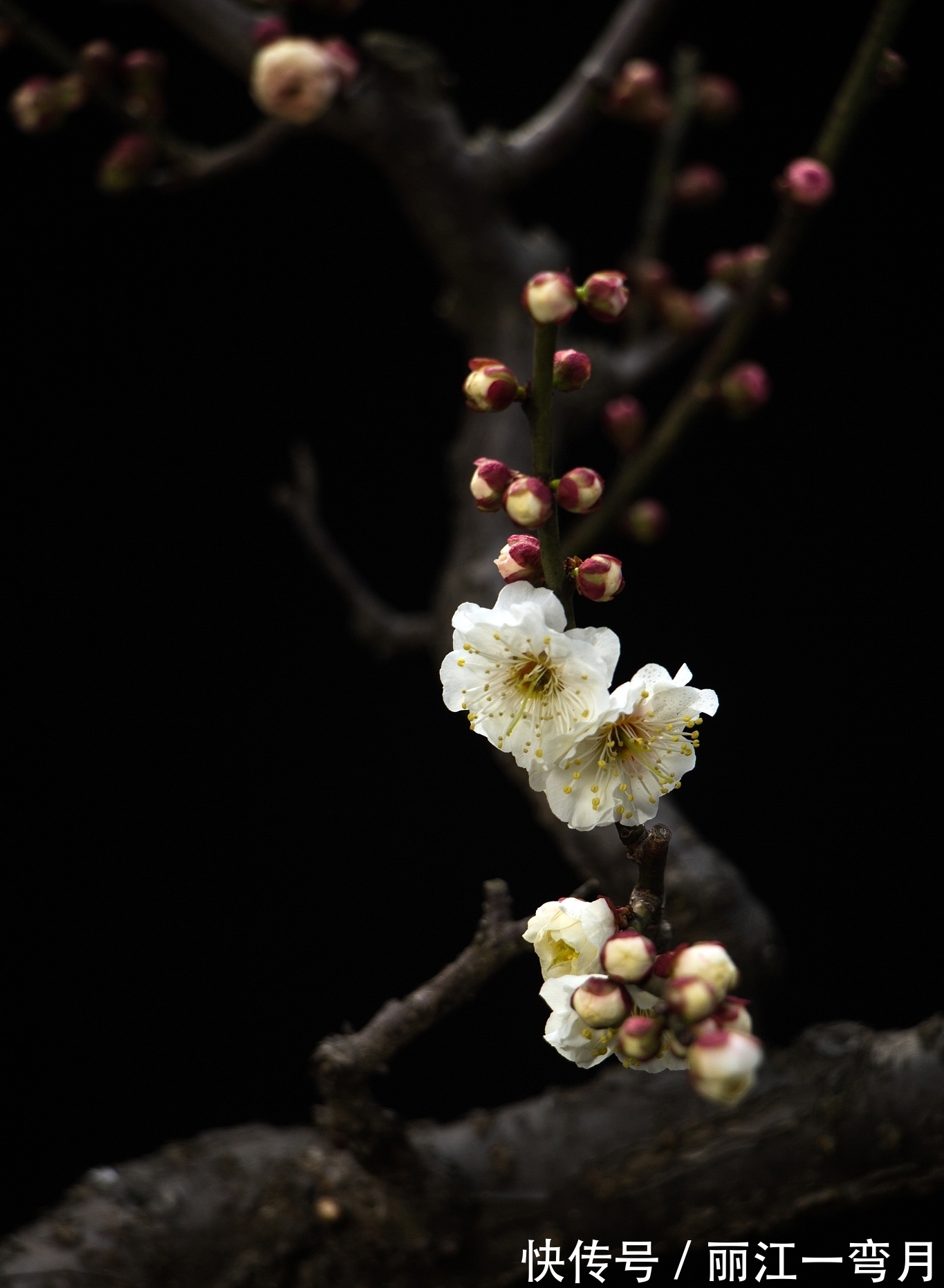王国维@岁月不堪数,故人不知处,最是人间留不住