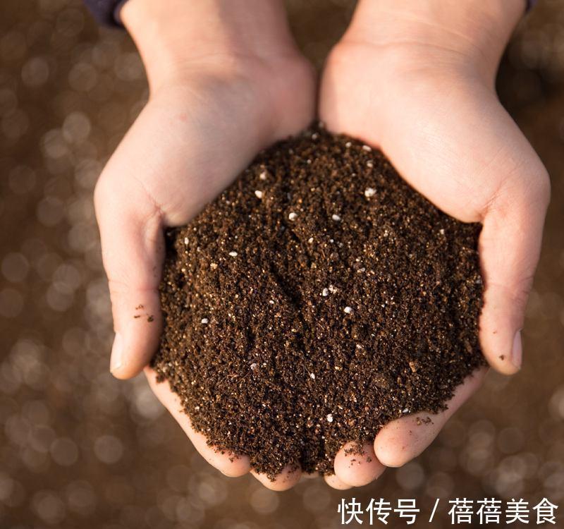 养花的“旧土”加点“废物”,又肥的流油,养花一级棒