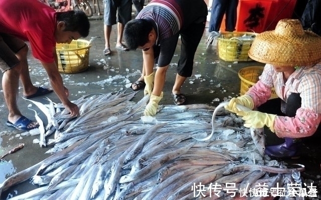 心脑血管|买带鱼时，遇到这3种带鱼，聪明人扭头就走，鱼贩子此人是行家