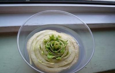 蔬菜根都是厨房垃圾？错，3种蔬菜根别再扔了！全是“养生法宝”