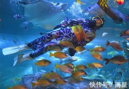 17条世界冷知识，抑郁症会让你在晚上比平时多做3到4倍的梦