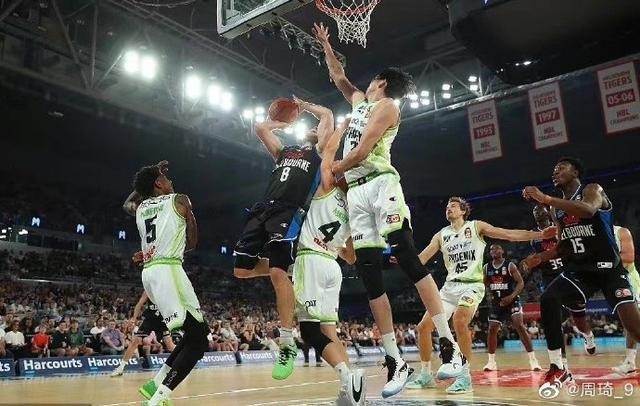 凤凰队|央视报道，周琦成NBL“宝石”，苏群：这么打，周琦要滚回NBA了