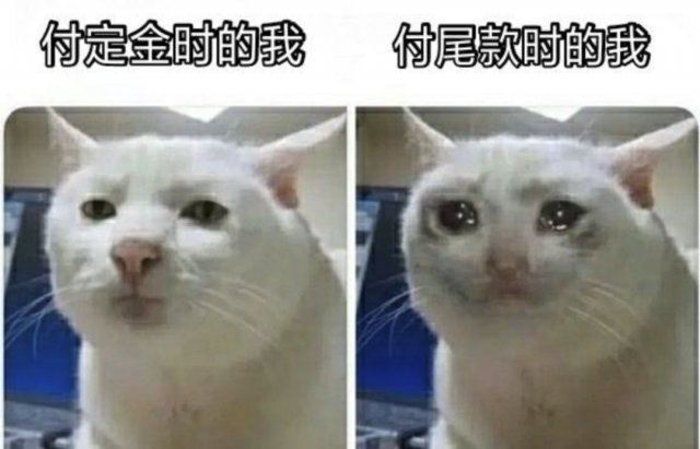 经营者|“付尾款”冲上热搜！网友吐槽：下次能不能不熬夜？