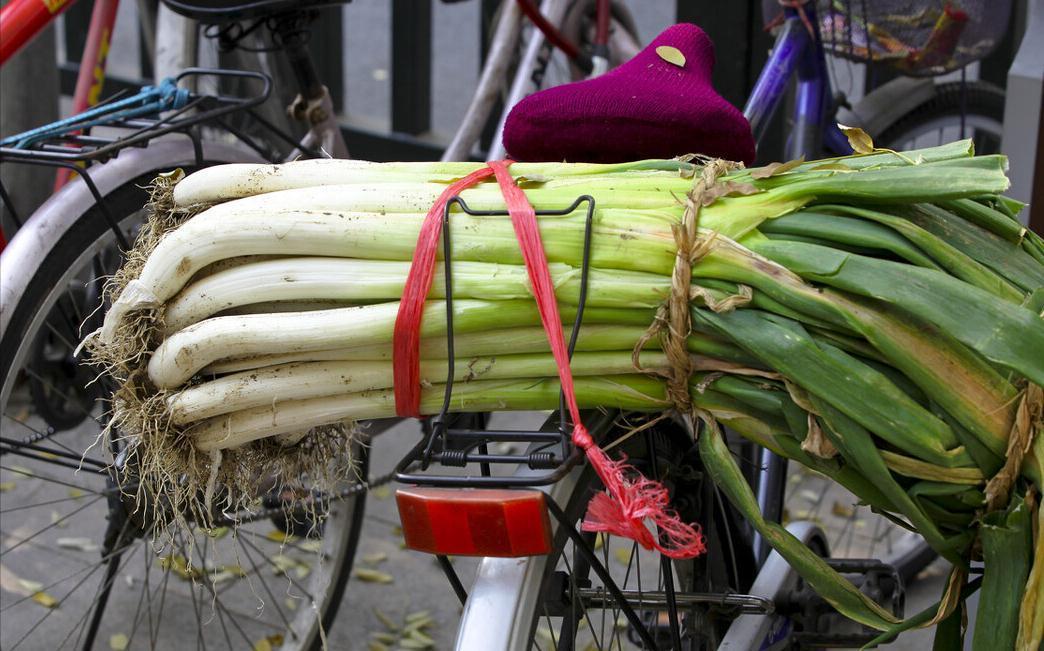 冬天大葱如何保存?教你3个好方法,平房楼房都适用,新鲜不烂根