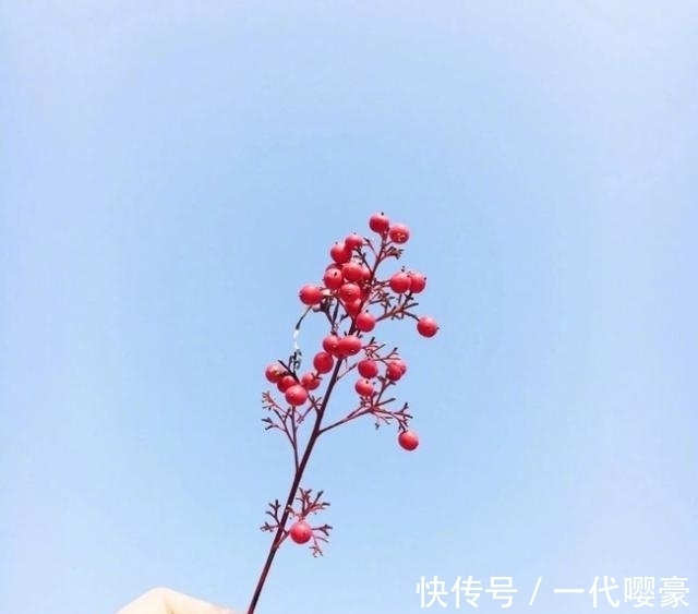 |幽默小句子，皮到没朋友