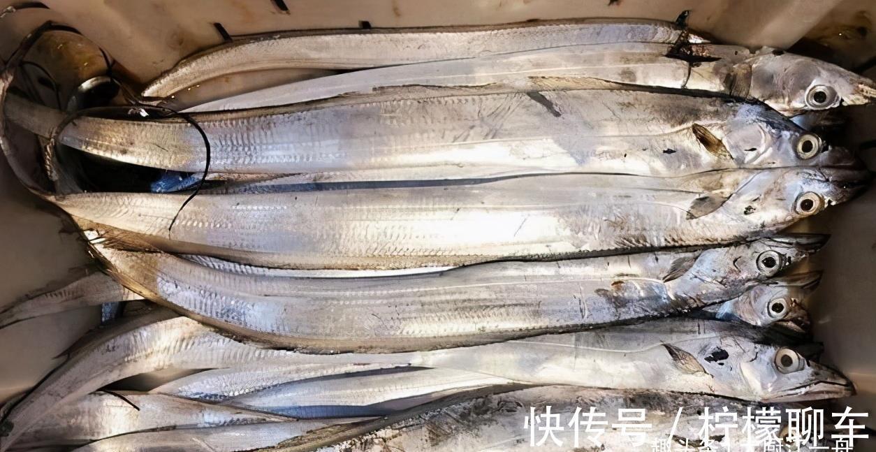 油炸带鱼|买带鱼,黑眼睛和黄眼睛区别大;牢记3买2不买,带鱼鲜嫩又解馋