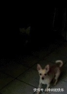 |搞笑图片幽默段子笑话:设计师,这个露天楼梯当初没考虑天气吗?