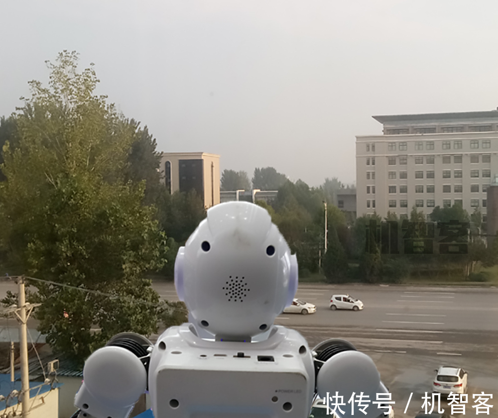 编码|很多时候,人和人工智能最大的区别是常识
