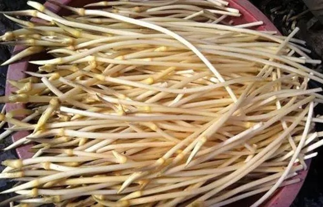 补充营养|女性不想太老,多吃4种食物,提亮肤色,改善肤质,淡化皱纹