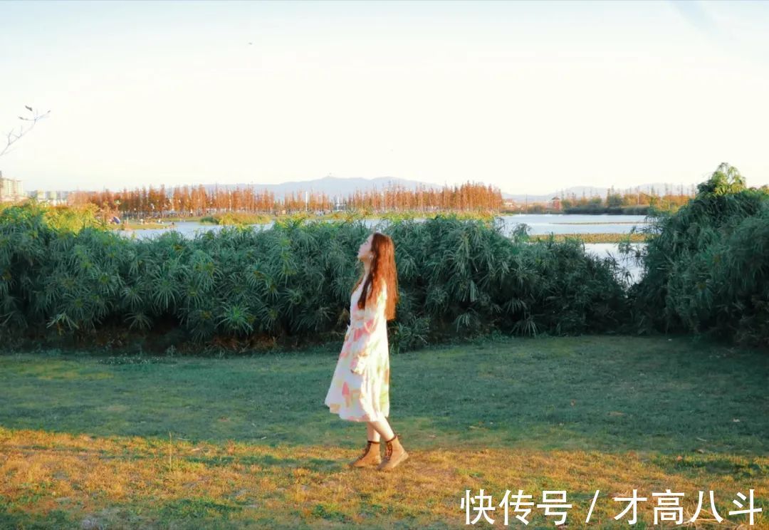 情绪&净化自己(深度好文)