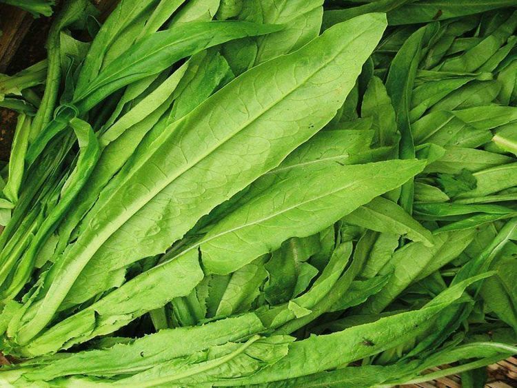 黑木耳|对身体很不错的3种食物,补充营养、延缓衰老,好吃又健康!