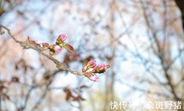 永远在一起|周末，桃花涌动，辗转反侧，爱神赐福，告别单身，共度朝与暮