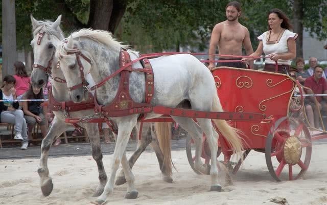 大墓|被盗大墓出土罗马“古战车”,盗墓贼嫌不值钱,使战车完好无损