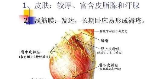 灵丹妙药|一个神奇的穴位,堪称止疼灵丹妙药!上可治到腰,下可治到脚!