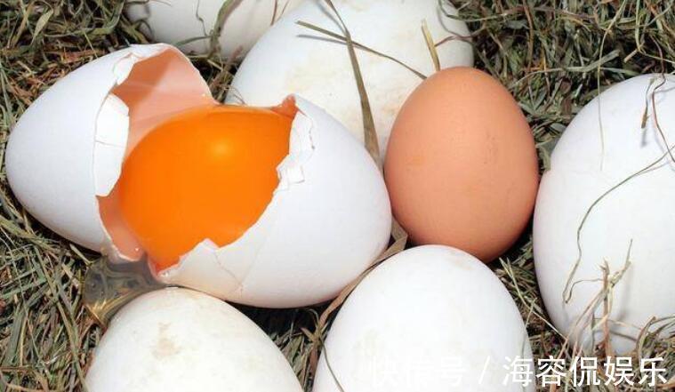 好处|孕晚期吃鹅蛋,好处并不是“去胎毒”,孕妇早知道早受益