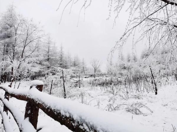 雪景|就在广元过年！这些春节旅游新玩法，给你安排得明明白白！